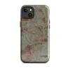 Glossy Crumbling Plaster Urban Wall MagSafe Tough Case for iPhone — aged plaster wall with crumbling sage green stucco
