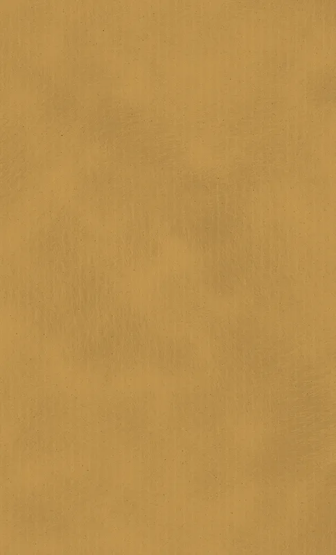 Golden Sands Minimalist Tough Case for Samsung
