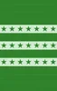 Green Stars and Stripes Tough Case for iPhone design — rows of dark green five-pointed stars on alternating light and dark
