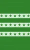 Green Star Stripes Tough Case for Samsung design — rows of dark green five-pointed stars on pale sage horizontal stripes