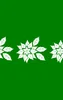 Winter Poinsettia Trio MagSafe Tough Case for iPhone design — three white poinsettia flower silhouettes with detailed leaf