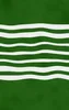 Forest Waves Sleek Tough Case for iPhone design — wavy white horizontal stripes flowing across a deep forest green