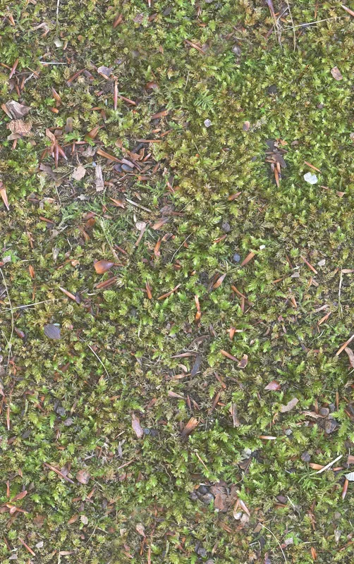 Forest Floor Moss Texture Tough Case for iPhone design — aerial close-up photograph of vivid green moss covering forest