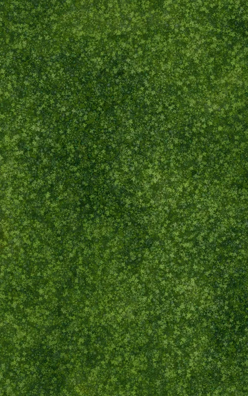 Lush Green Clover Field Tough Case for iPhone design — aerial view of a dense clover field with layered deep forest green