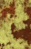 Rusted Decay Industrial Tough Case for iPhone design — peeling yellow-green paint over deep rust-red metal surface