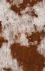 Rust and Ruin MagSafe Tough Case for iPhone design — close-up texture of deep rust-brown oxidized metal beneath cracked