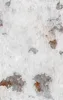 Weathered Metal Rust Patina Tough Case for iPhone design — peeling white paint on aged metal revealing grey steel and deep