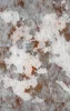 Rusted Iron Peeling Paint MagSafe Tough Case for iPhone design — peeling white paint over rust-streaked aged metal surface