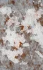 Rusted Iron Industrial Tough Case for Samsung design — peeling white paint over heavily rusted steel with orange corrosion