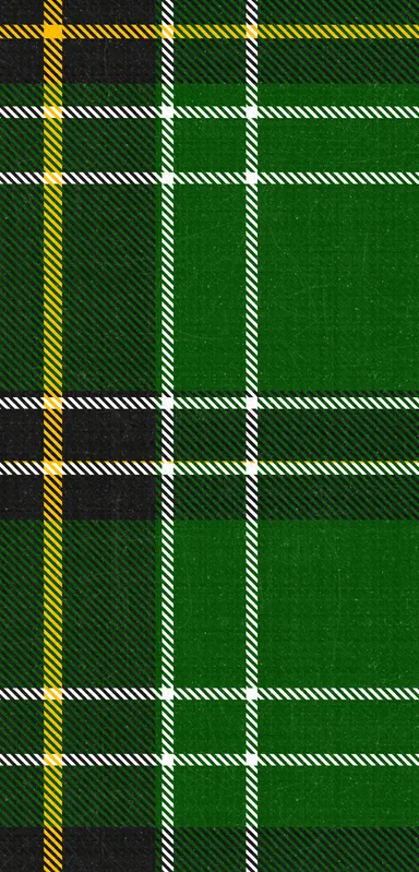 Highland Green Tartan Clear Case for iPhone design — classic Scottish tartan pattern in deep emerald green with intersecting