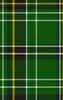 classic Scottish tartan pattern in deep emerald green with intersecting white, golden yellow, and black stripes in a traditional woven plaid style