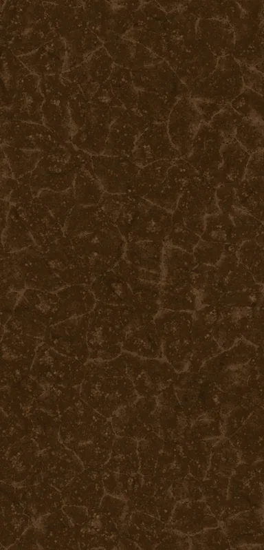 Cracked Earth Brown Clear Case for iPhone design — cracked dry earth texture in deep chocolate brown with a fine network
