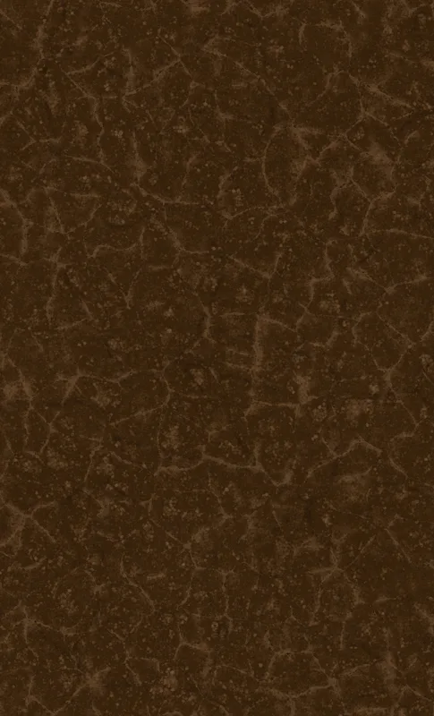 Dark Earth Crackle Terrain Tough Case for Samsung design — cracked dry earth texture in deep chocolate brown with fine