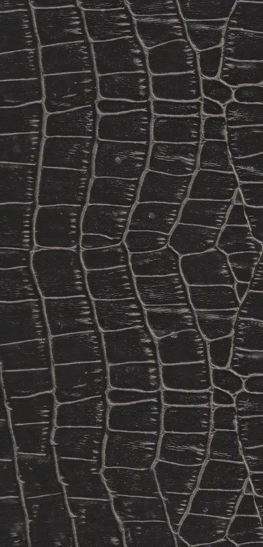 Dark Croc Skin Clear Case for iPhone design — close-up black crocodile skin scale pattern with deep charcoal tones
