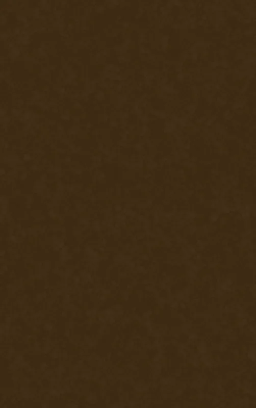 Deep Earth Brown Solid Tough Case for iPhone