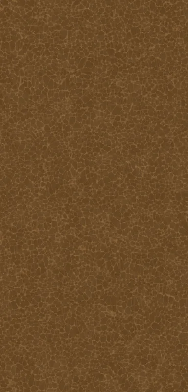 Burnished Leather Texture Clear Case for iPhone design — fine crackled leather grain pattern in warm sienna and tan tones