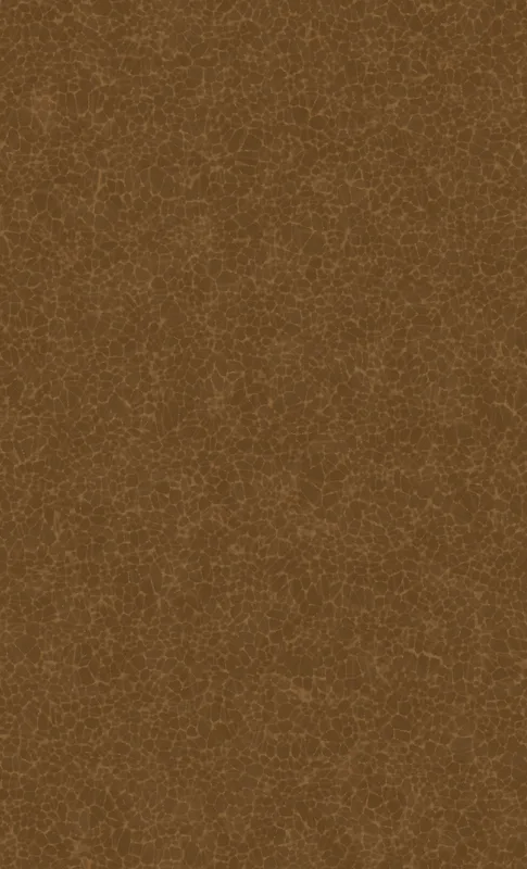 Cracked Earth Leather Tough Case for Samsung design — close-up crackle pattern resembling aged leather in warm golden-brown