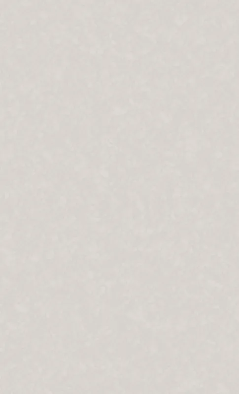 Clean Slate Minimal Tough Case for Samsung design — smooth warm gray surface with subtle organic noise texture and soft