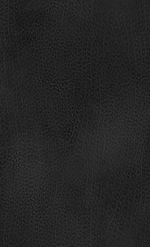 Midnight Black Leather Edge Tough Case for Samsung design — close-up black leather surface with organic grain texture