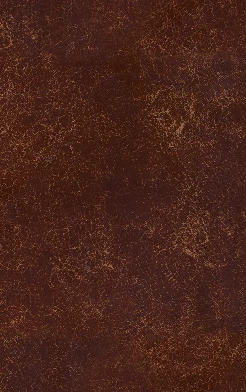 Worn Leather Heritage Tough Case for iPhone