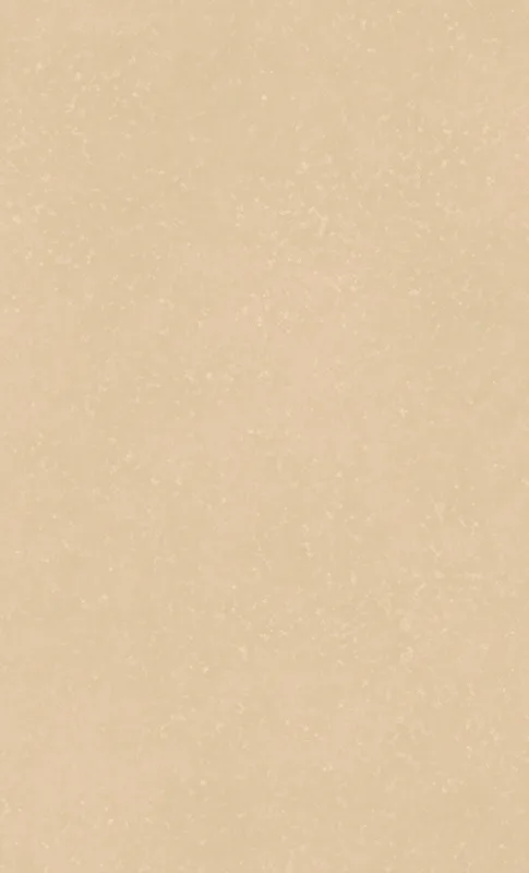Sandy Dune Minimalist Tough Case for Samsung design — soft sandy beige textured surface with subtle tonal speckles