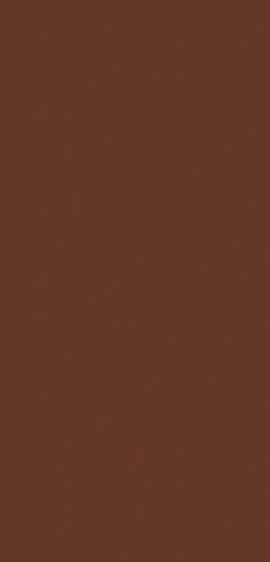 Rich Cognac Minimal Clear Case for iPhone design — solid deep cognac reddish-brown color field with smooth, matte-like