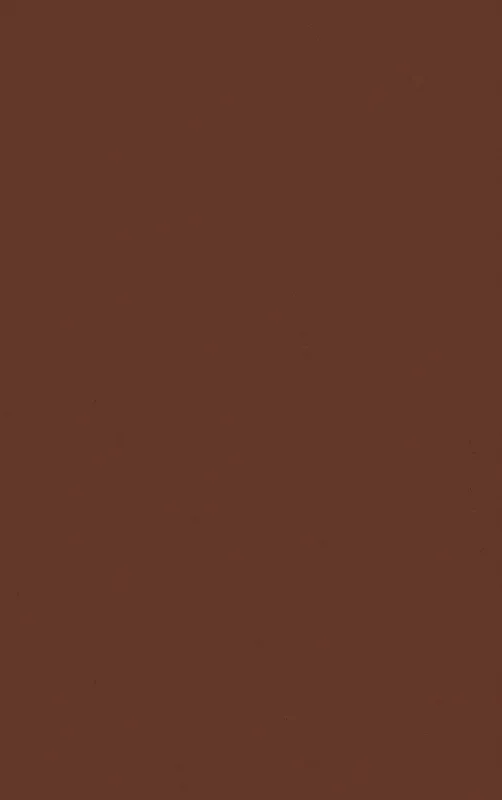 Rich Cognac MagSafe Tough Case for iPhone design — solid deep cognac brown in a smooth matte finish with warm reddish-brown