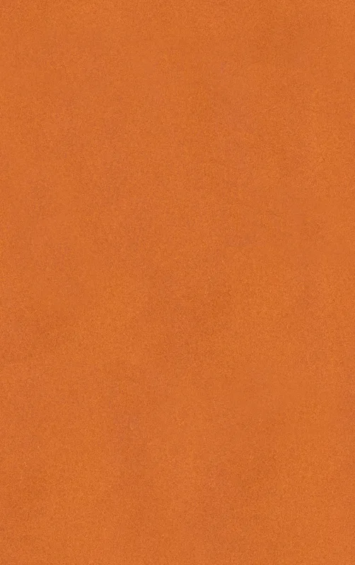 solid flat burnt orange in a warm earthy tone with subtle texture variation across the surface