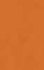 solid flat burnt orange in a warm earthy tone with subtle texture variation across the surface