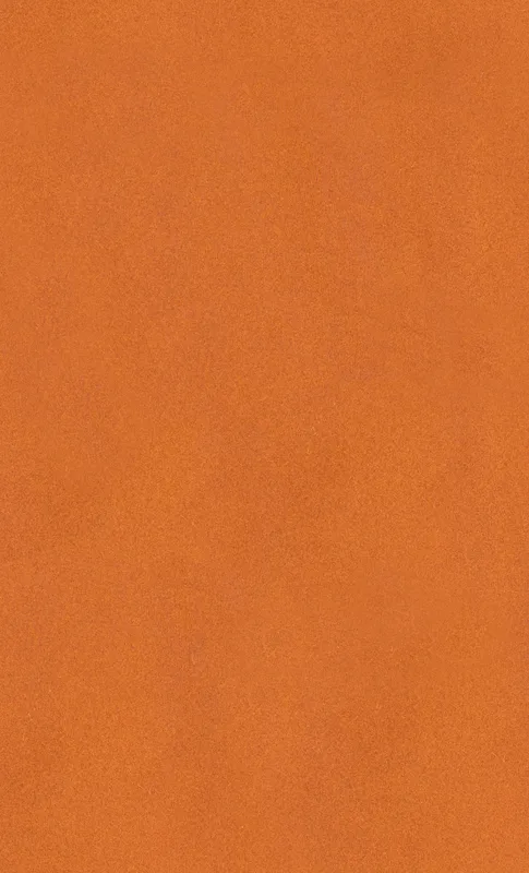 Burnt Orange Velvet Tough Case for Samsung design — solid burnt orange surface with subtle warm texture variation across