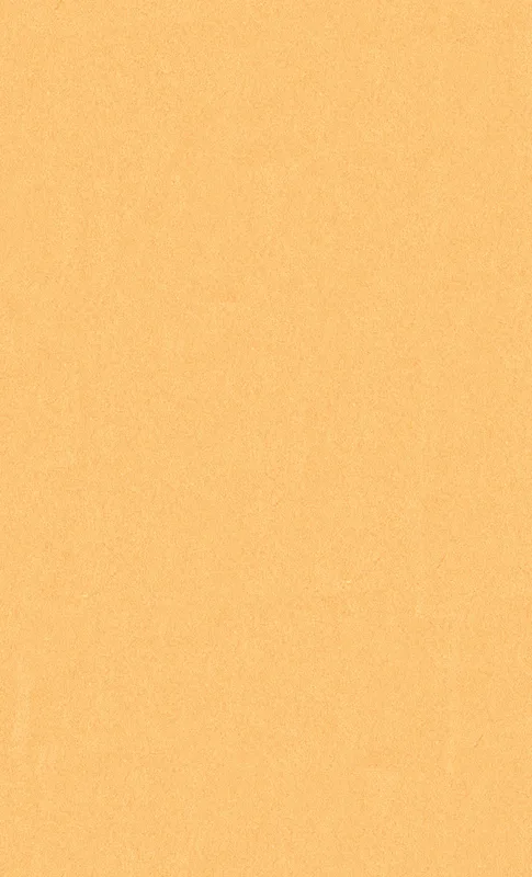 Golden Apricot Minimal Tough Case for Samsung design — smooth solid golden apricot surface with subtle paper-like texture